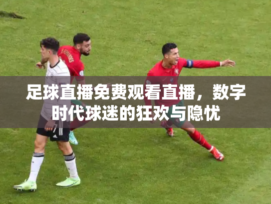 足球直播免费观看直播，数字时代球迷的狂欢与隐忧