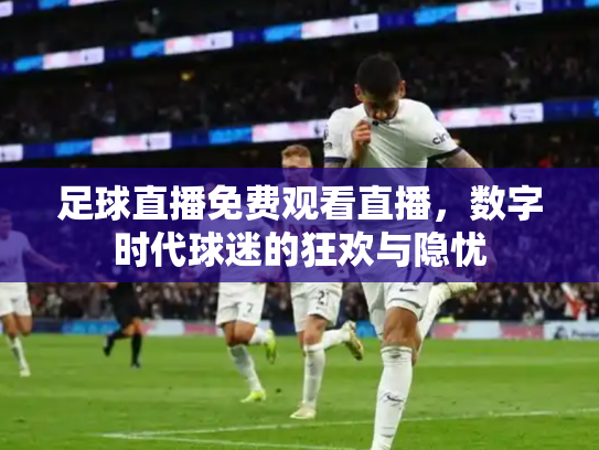 足球直播免费观看直播，数字时代球迷的狂欢与隐忧