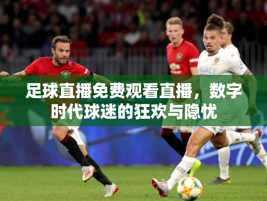 足球直播免费观看直播，数字时代球迷的狂欢与隐忧