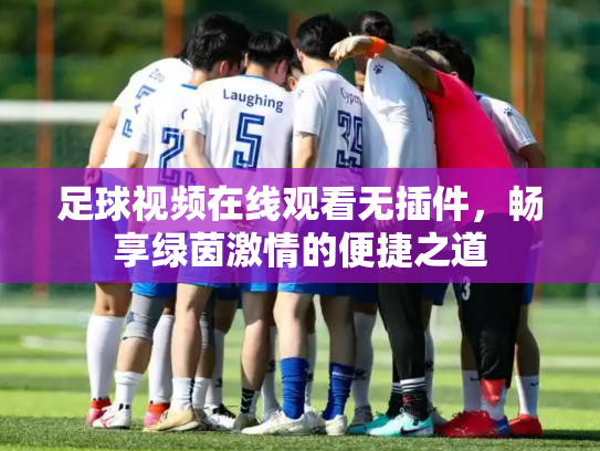 足球视频在线观看无插件，畅享绿茵激情的便捷之道