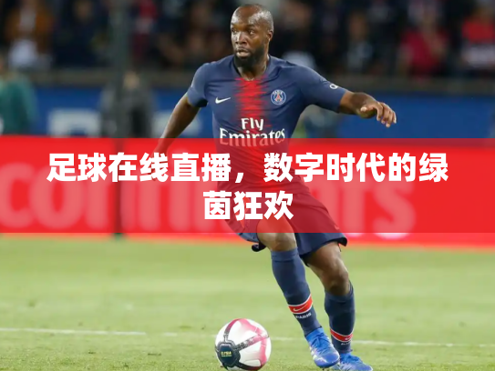 足球在线直播，数字时代的绿茵狂欢