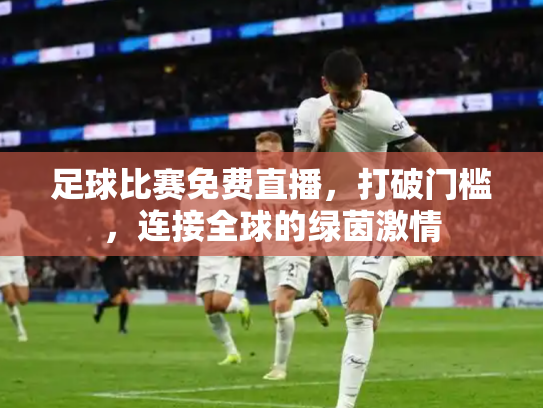 足球比赛免费直播，打破门槛，连接全球的绿茵激情