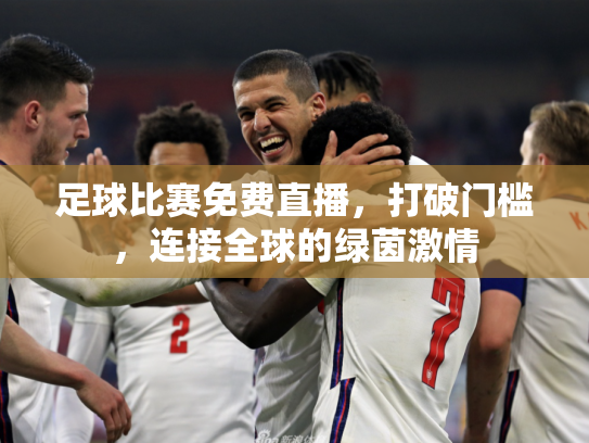 足球比赛免费直播，打破门槛，连接全球的绿茵激情