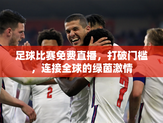 足球比赛免费直播，打破门槛，连接全球的绿茵激情