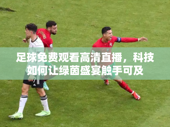 足球免费观看高清直播，科技如何让绿茵盛宴触手可及