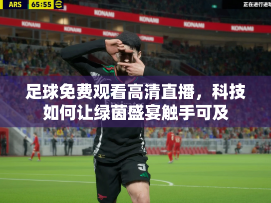 足球免费观看高清直播，科技如何让绿茵盛宴触手可及