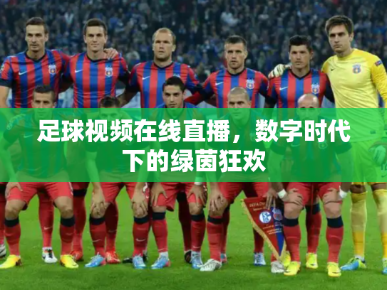 足球视频在线直播，数字时代下的绿茵狂欢