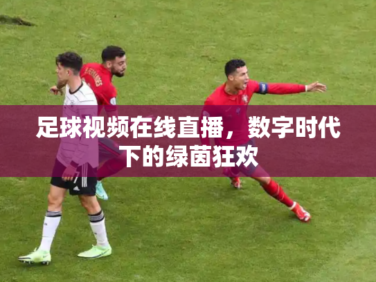 足球视频在线直播，数字时代下的绿茵狂欢