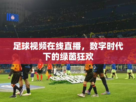 足球视频在线直播，数字时代下的绿茵狂欢