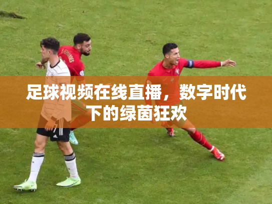 足球视频在线直播，数字时代下的绿茵狂欢