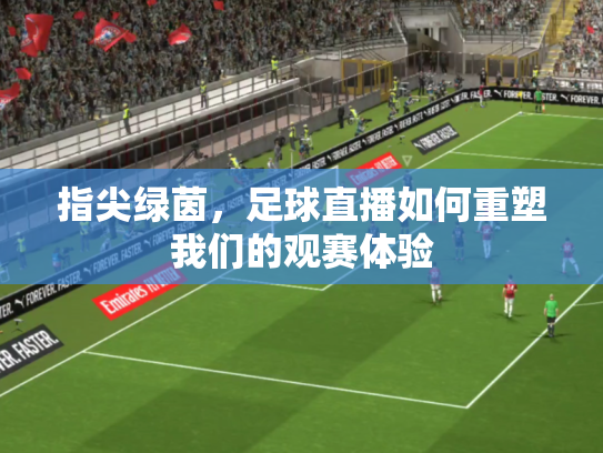 指尖绿茵，足球直播如何重塑我们的观赛体验