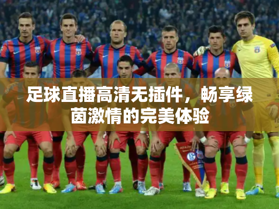 足球直播高清无插件，畅享绿茵激情的完美体验