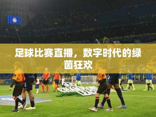 足球比赛直播，数字时代的绿茵狂欢
