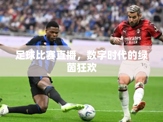足球比赛直播，数字时代的绿茵狂欢