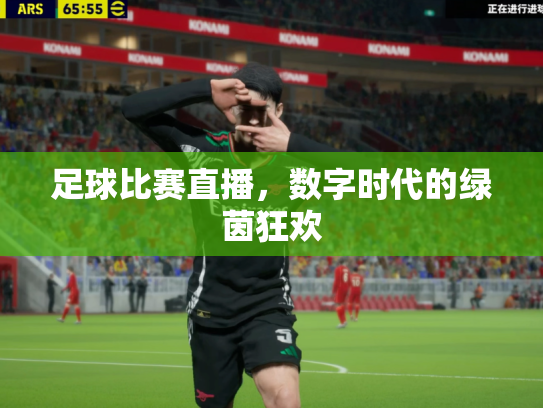 足球比赛直播，数字时代的绿茵狂欢