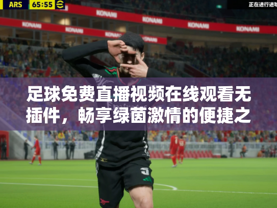 足球免费直播视频在线观看无插件，畅享绿茵激情的便捷之道