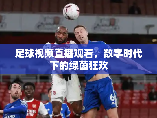 足球视频直播观看，数字时代下的绿茵狂欢