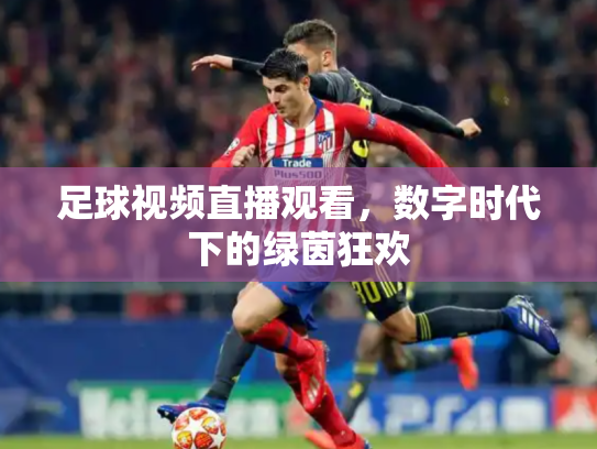 足球视频直播观看，数字时代下的绿茵狂欢