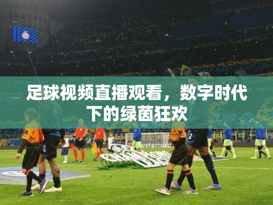 足球视频直播观看，数字时代下的绿茵狂欢