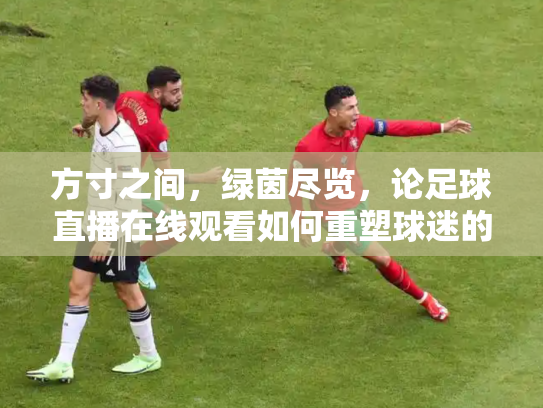方寸之间，绿茵尽览，论足球直播在线观看如何重塑球迷的观赛体验与文化