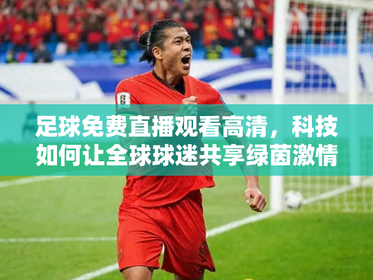 足球免费直播观看高清，科技如何让全球球迷共享绿茵激情