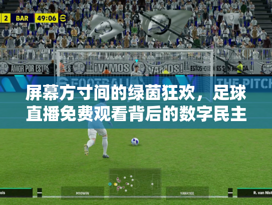 屏幕方寸间的绿茵狂欢，足球直播免费观看背后的数字民主迷思