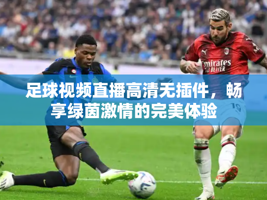 足球视频直播高清无插件，畅享绿茵激情的完美体验