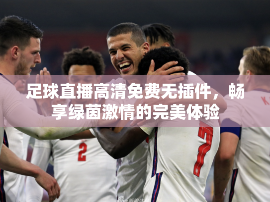 足球直播高清免费无插件，畅享绿茵激情的完美体验