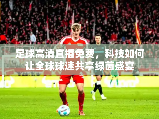 足球高清直播免费，科技如何让全球球迷共享绿茵盛宴