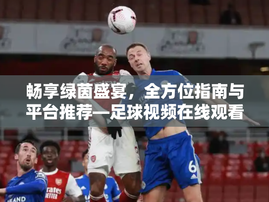 畅享绿茵盛宴，全方位指南与平台推荐—足球视频在线观看无插件
