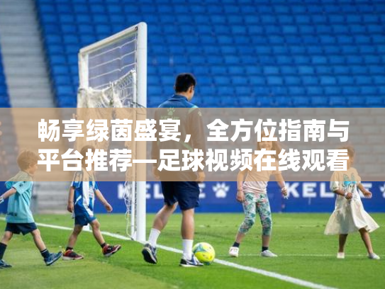 畅享绿茵盛宴，全方位指南与平台推荐—足球视频在线观看无插件