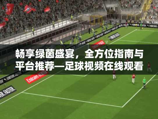 畅享绿茵盛宴，全方位指南与平台推荐—足球视频在线观看无插件