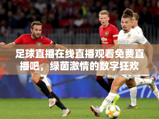 足球直播在线直播观看免费直播吧，绿茵激情的数字狂欢
