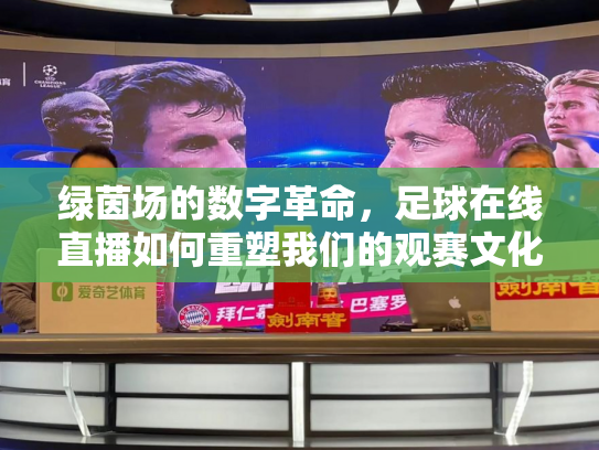 绿茵场的数字革命，足球在线直播如何重塑我们的观赛文化