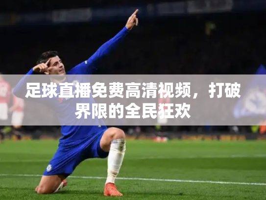 足球直播免费高清视频，打破界限的全民狂欢