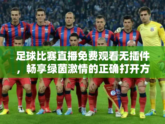 足球比赛直播免费观看无插件，畅享绿茵激情的正确打开方式