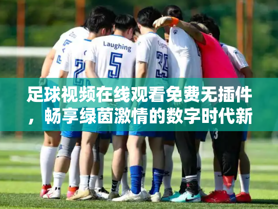 足球视频在线观看免费无插件，畅享绿茵激情的数字时代新方式