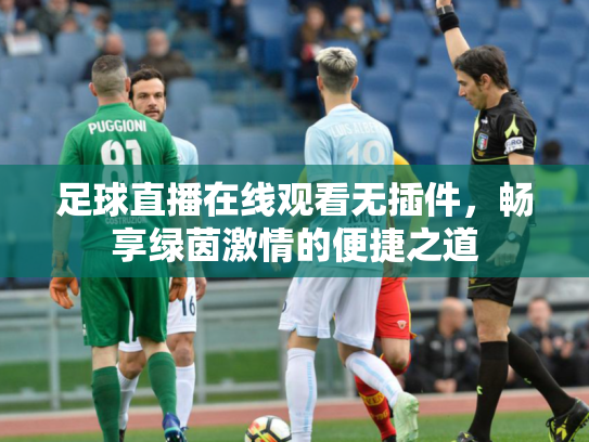 足球直播在线观看无插件，畅享绿茵激情的便捷之道