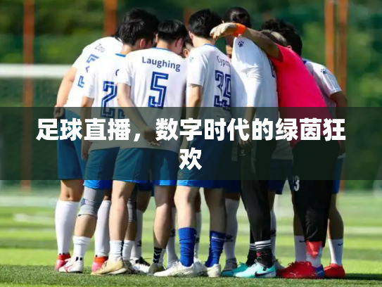 足球直播，数字时代的绿茵狂欢