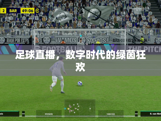 足球直播，数字时代的绿茵狂欢
