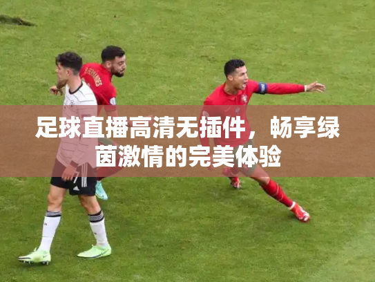 足球直播高清无插件，畅享绿茵激情的完美体验