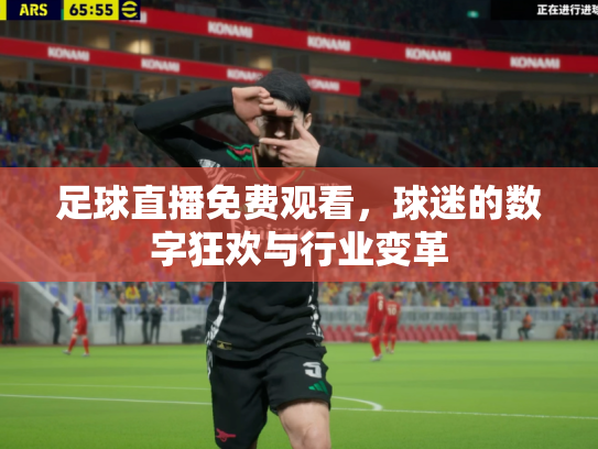 足球直播免费观看，球迷的数字狂欢与行业变革
