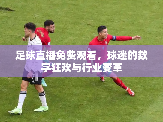 足球直播免费观看，球迷的数字狂欢与行业变革