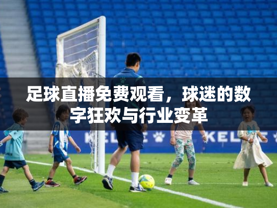 足球直播免费观看，球迷的数字狂欢与行业变革