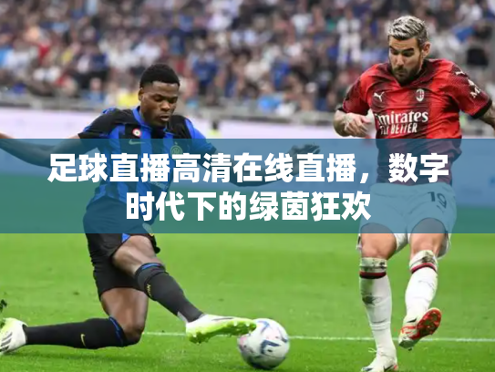 足球直播高清在线直播，数字时代下的绿茵狂欢