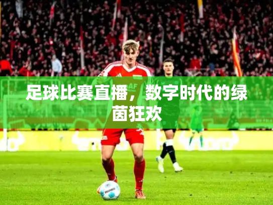 足球比赛直播，数字时代的绿茵狂欢