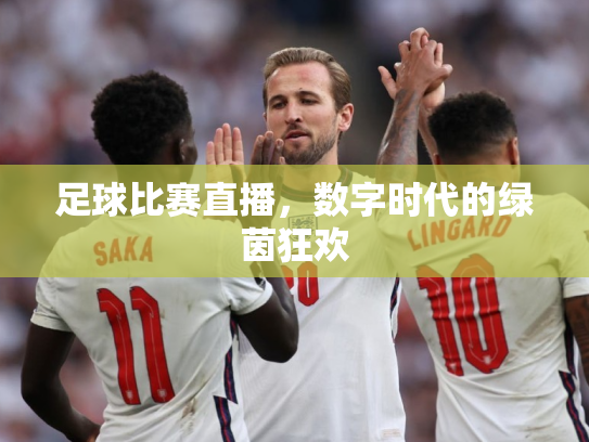 足球比赛直播，数字时代的绿茵狂欢