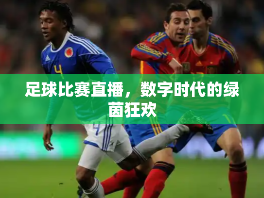 足球比赛直播，数字时代的绿茵狂欢