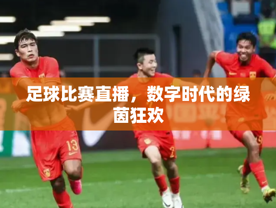 足球比赛直播，数字时代的绿茵狂欢