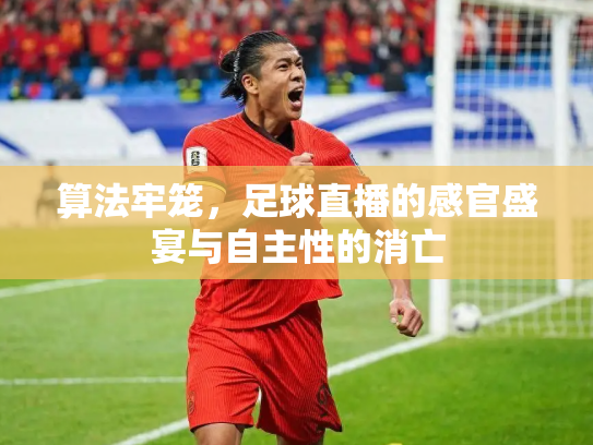 算法牢笼，足球直播的感官盛宴与自主性的消亡